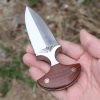 图7 SC003 Brown Hand Thorn Push Dagger Wooden Handle Leather Sheath
